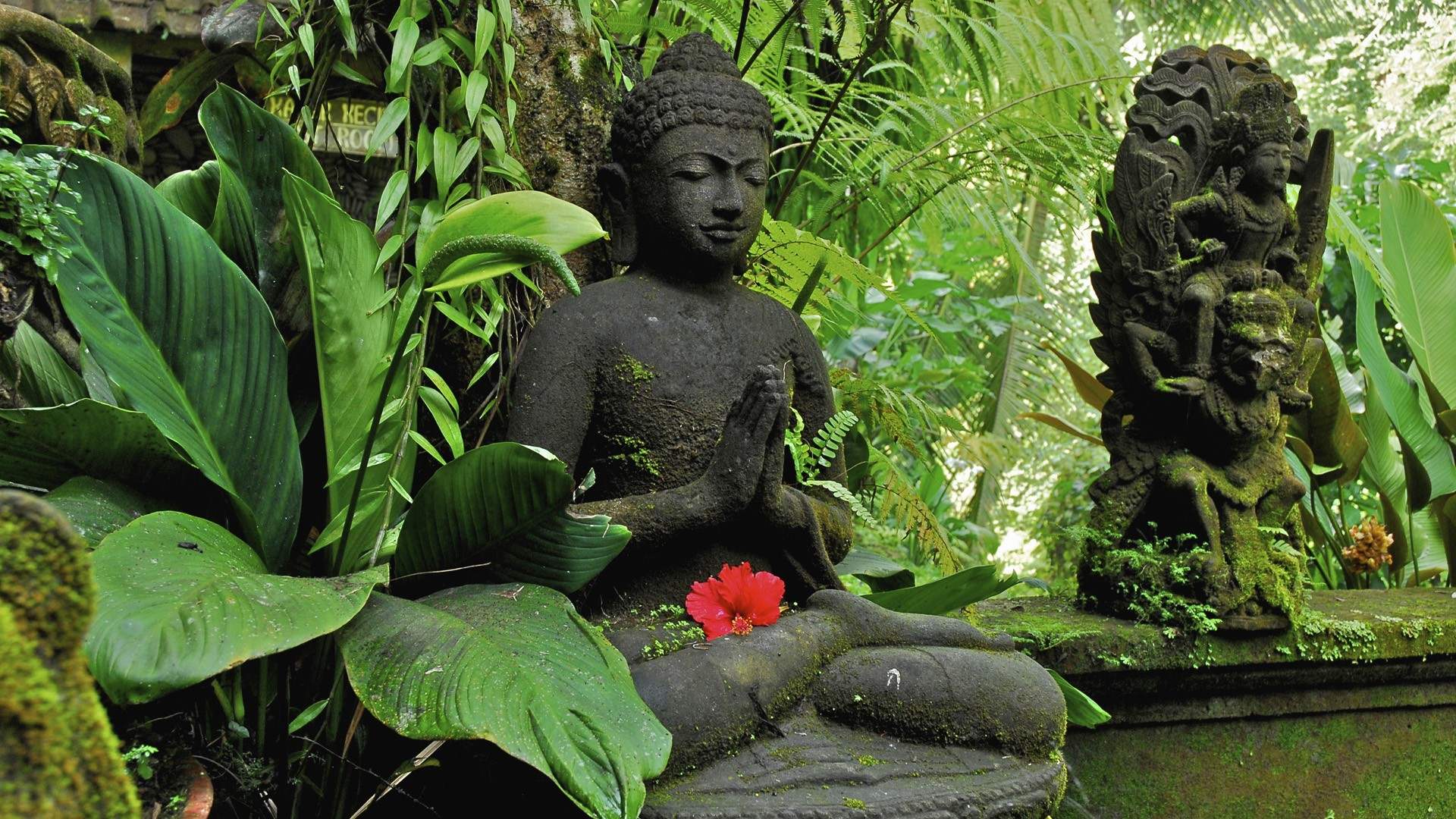 Statue de Bouddha zen