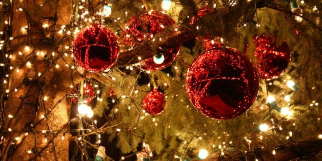 Sapin et décorations de Noël
